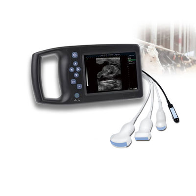 ποιότητας Veterinary Ultrasound Probe Medical Equipment Good Support Veterinary Ultrasound Scanner Laptop Ultrasound Sonoscape Livestock Price εργοστάσιο